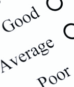 Employee Performance Evaluation System