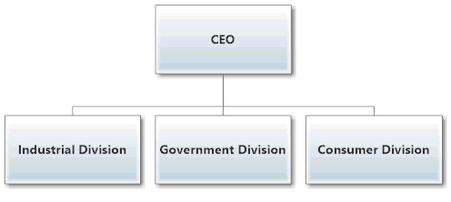 Centralized Organizational Structure Diagram