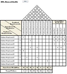 Voice of the customer process analysis template